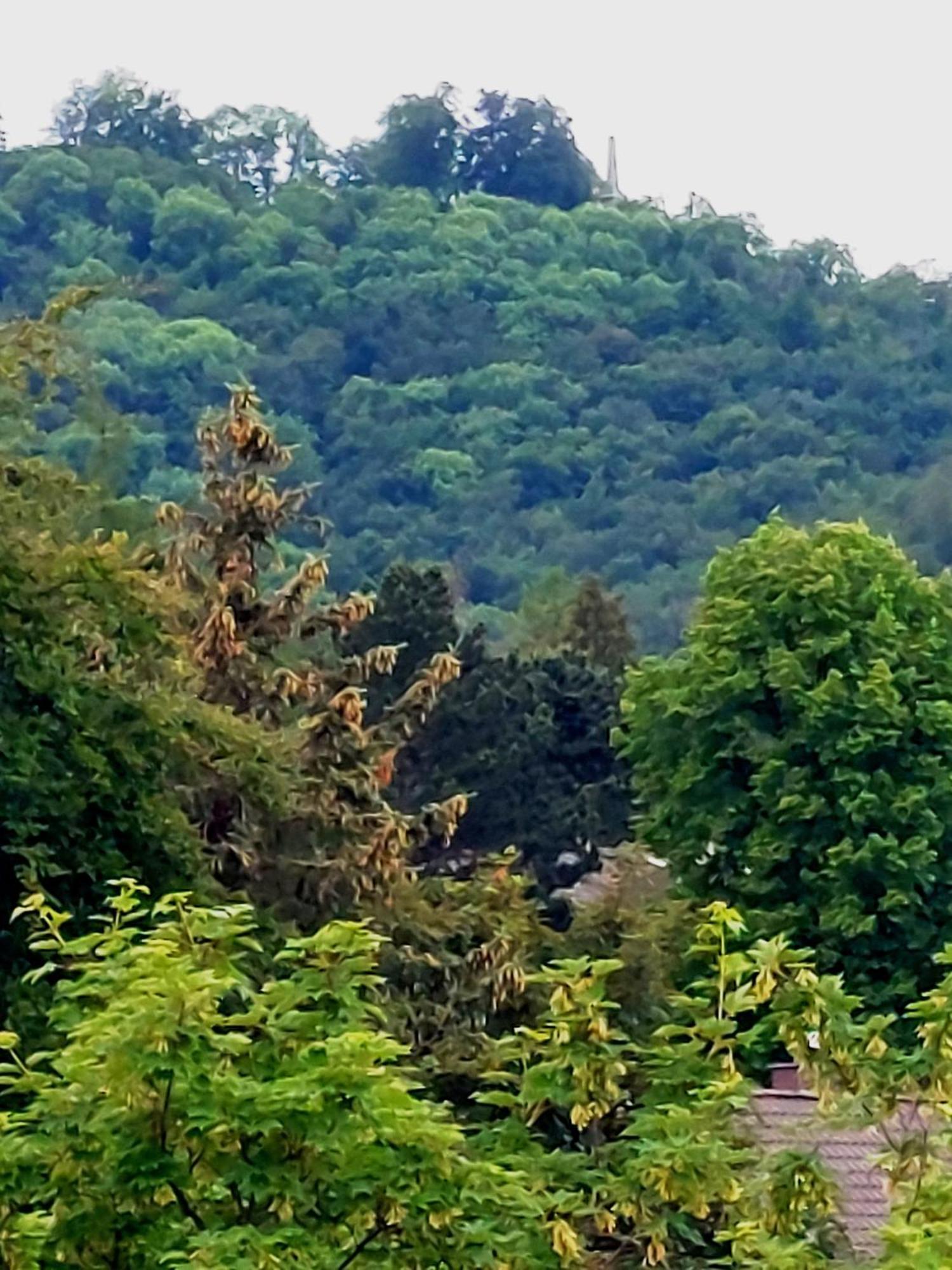 Burgberg-Blick Apartman Bad Harzburg Kültér fotó