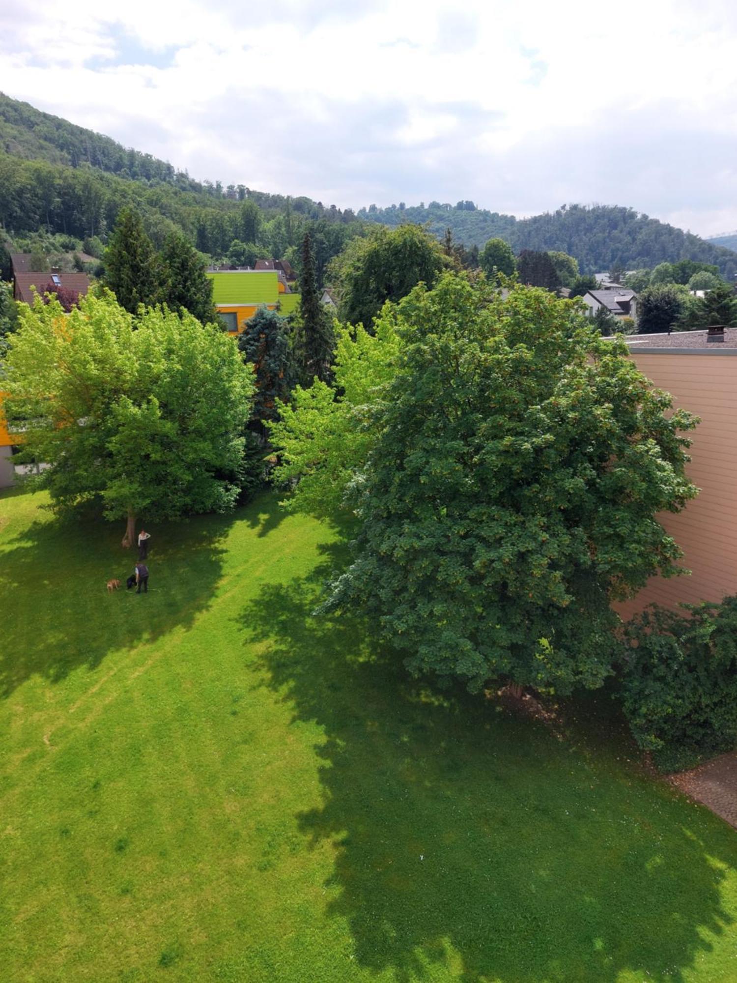Burgberg-Blick Apartman Bad Harzburg Kültér fotó